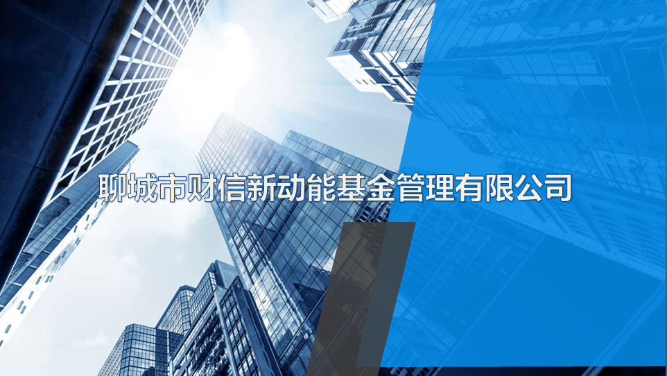 聊城市財(cái)信新動(dòng)能基金管理有限公司