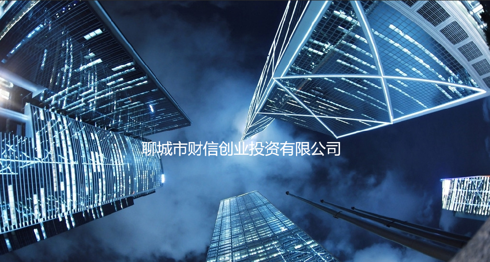 聊城市財(cái)信創(chuàng)業(yè)投資有限公司